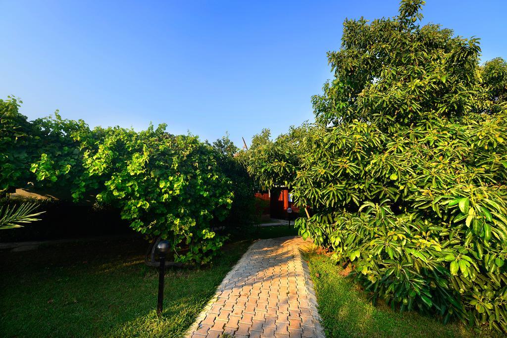 Yildiz Pension Bungalows Çıralı المظهر الخارجي الصورة